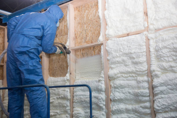 Best Radiant Barrier Insulation  in Lake Success, NY